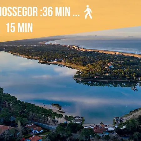 Apartment * Hossegor * 100m * Vue Sur Les Pins *surf