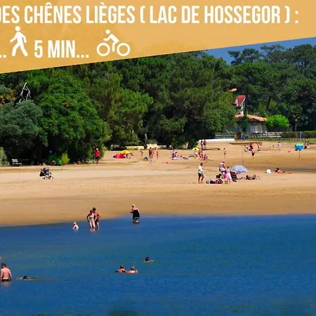 * Hossegor * 100m * Vue Sur Les Pins *surf